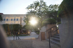 Sun in the trees Downtown Austin, Texas